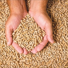 Comment choisir son pellet ?